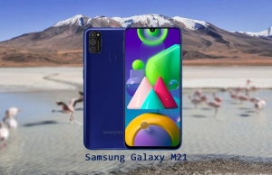 Samsung Galaxy M21: A Budget Marvel with Impressive Features